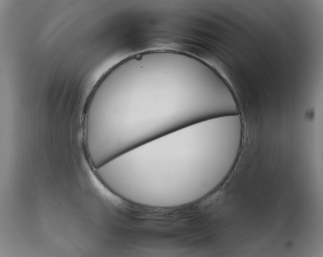 X0000111231143200907091330