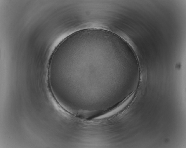 X0000111231144200907091330