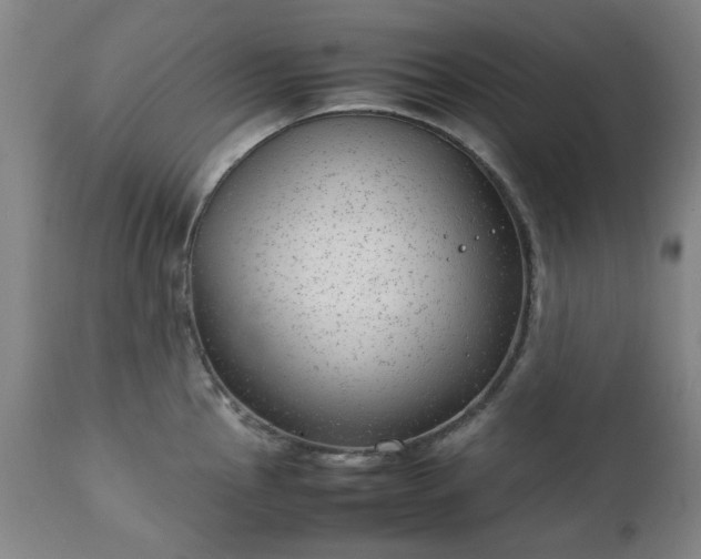 X0000111231145200907091330