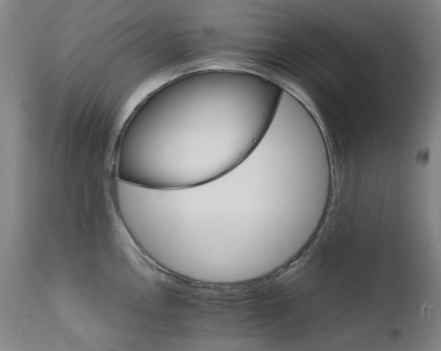 X0000111231146200907091330