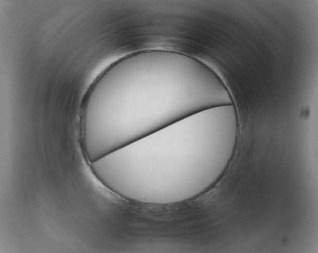 X0000111231147200907091330