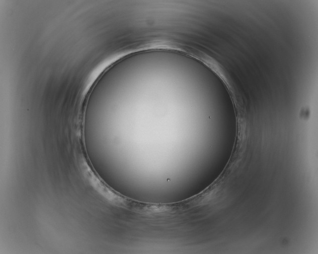 X0000111231148200907091330
