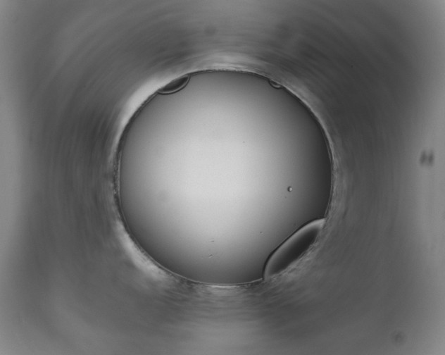 X0000111231152200907091330