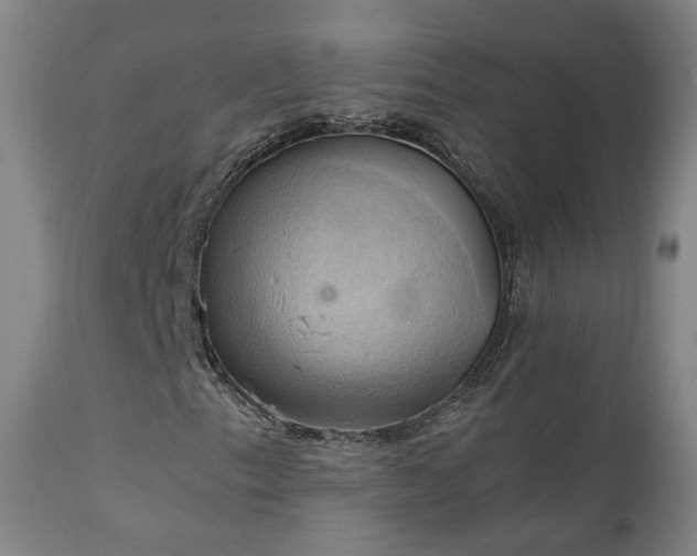 X0000111231153200907091329