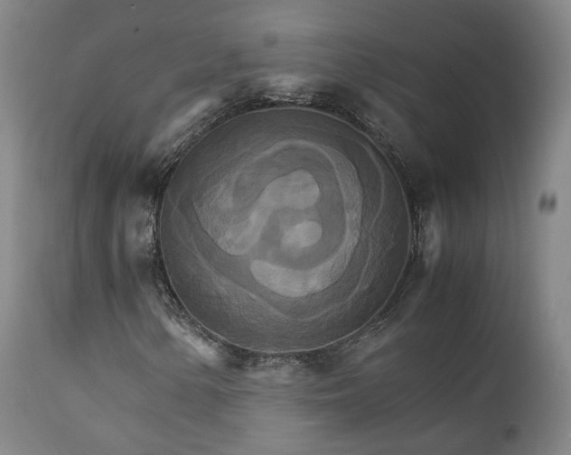 X0000111231154200907091329
