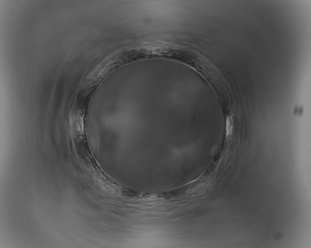 X0000111231155200907091329