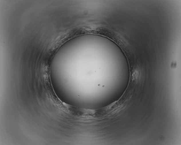 X0000111231156200907091329