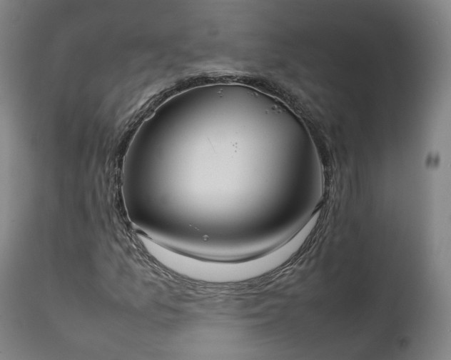 X0000111231157200907091329