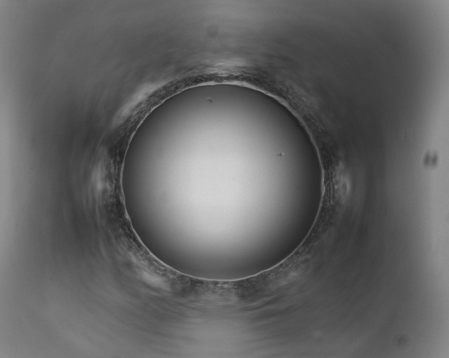 X0000111231158200907091329