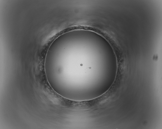 X0000111231159200907091329