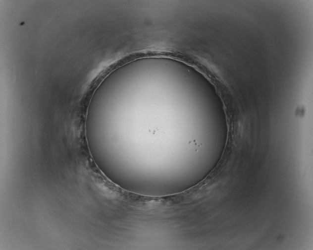 X0000111231160200907091329