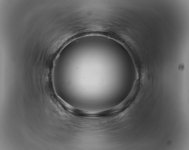 X0000111231161200907091329