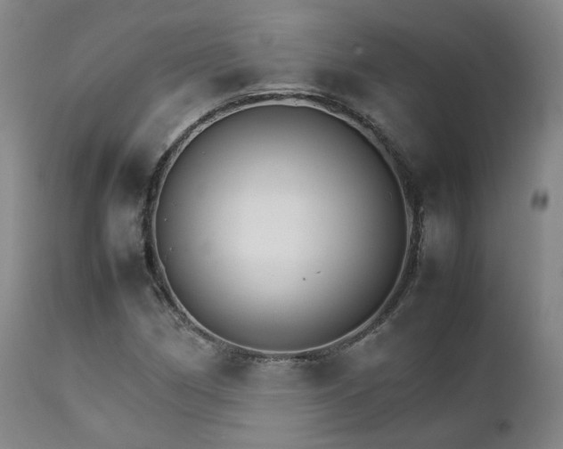 X0000111231162200907091329
