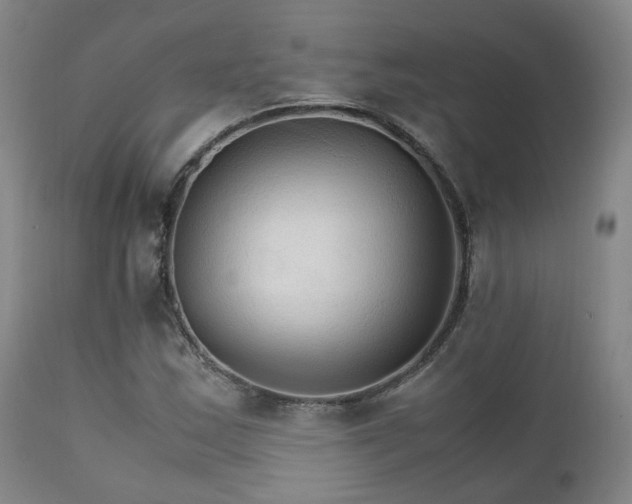 X0000111231163200907091329