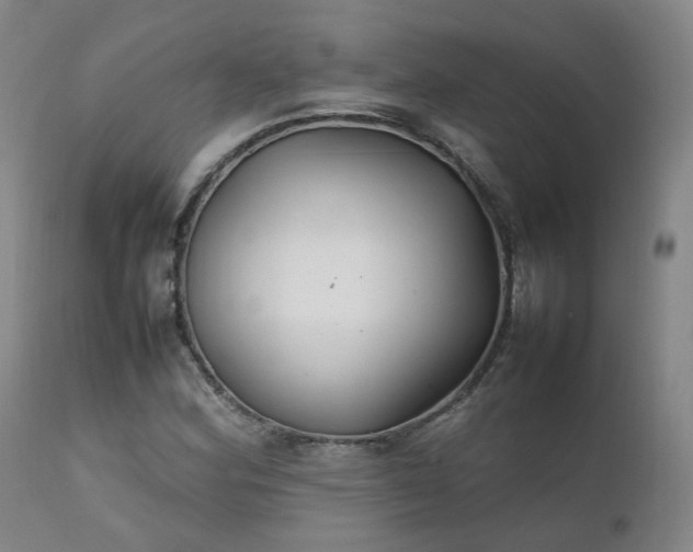 X0000111231164200907091329