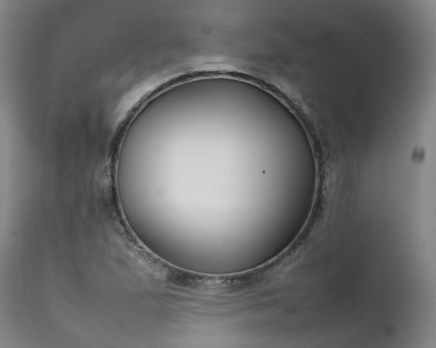 X0000111231167200907091329