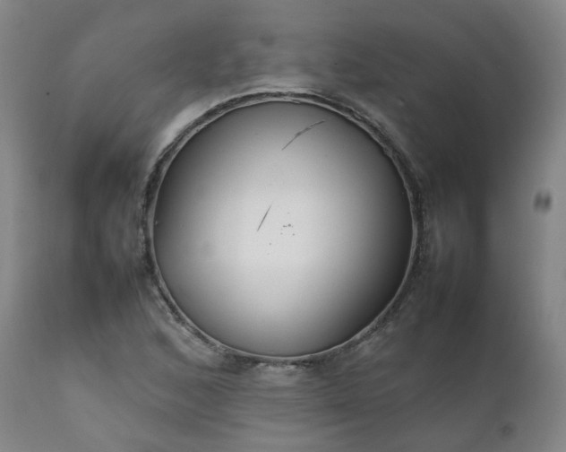 X0000111231168200907091329
