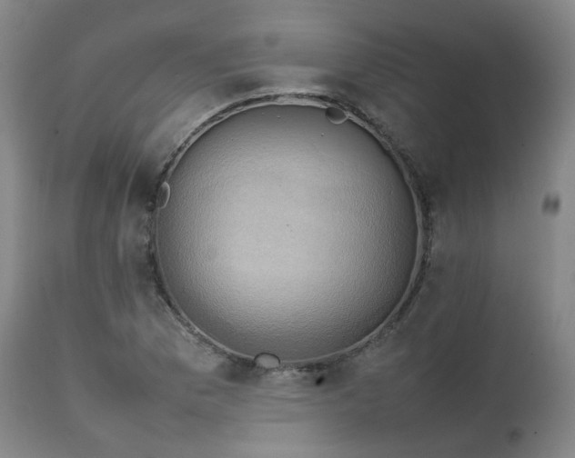 X0000111231169200907091329