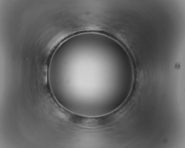 X0000111231171200907091329