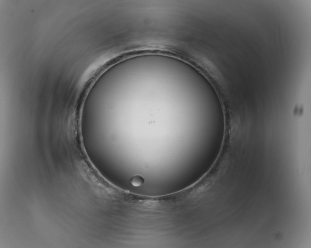 X0000111231172200907091329