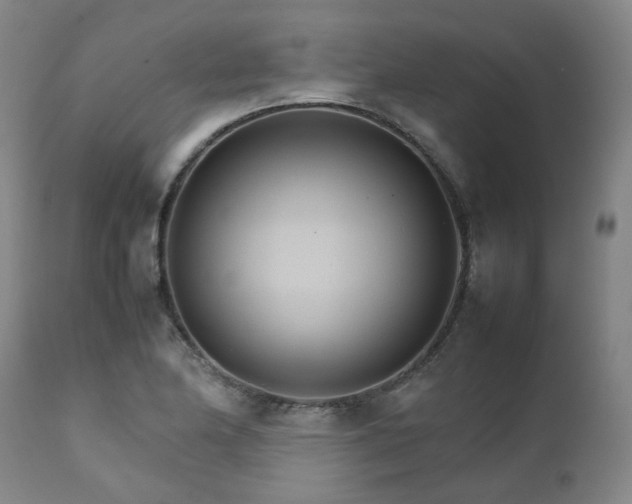 X0000111231174200907091329