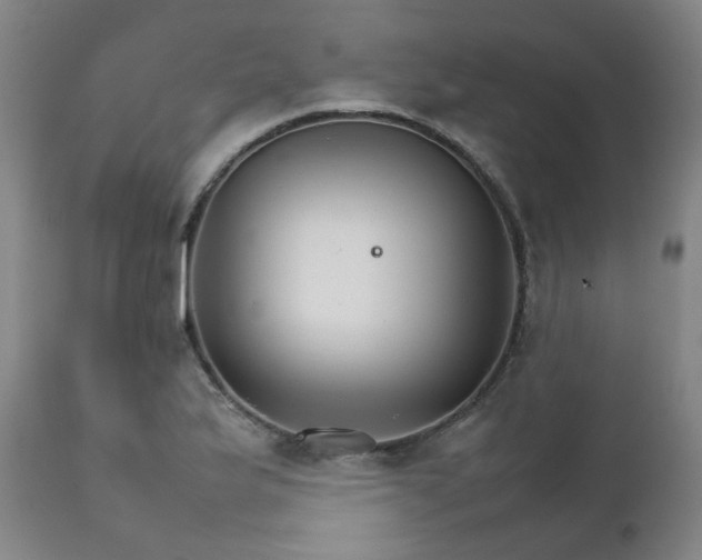 X0000111231175200907091329