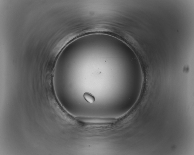 X0000111231177200907091329