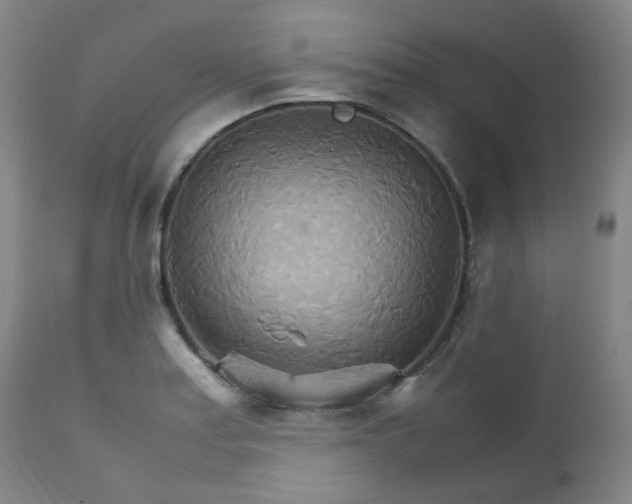 X0000111231179200907091329