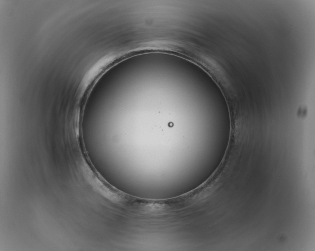 X0000111231180200907091329