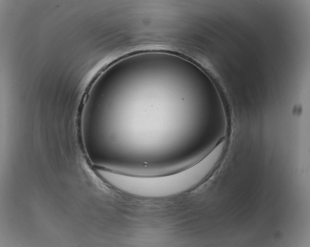 X0000111231181200907091329