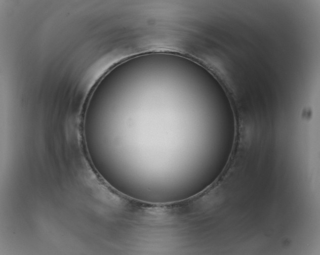 X0000111231182200907091329