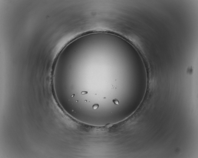 X0000111231183200907091329