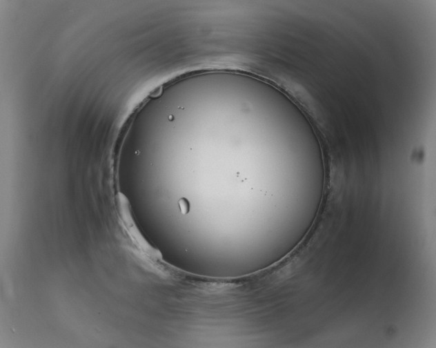 X0000111231184200907091329