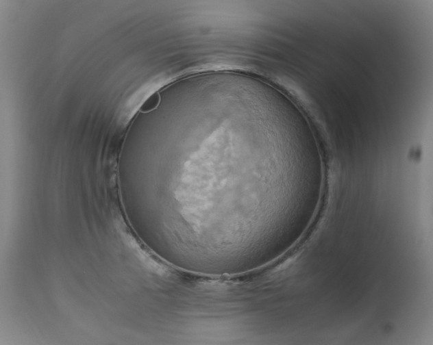 X0000111231185200907091329