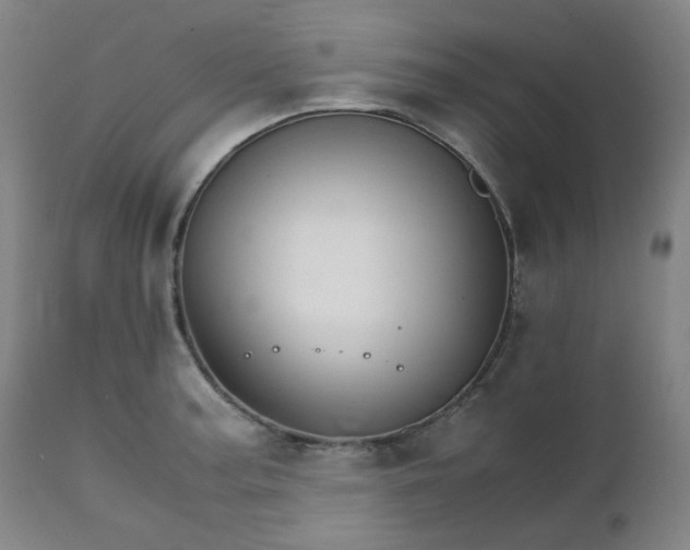 X0000111231187200907091329