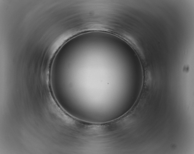 X0000111231188200907091329