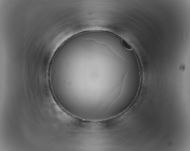 X0000111231189200907091329