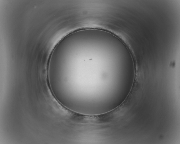 X0000111231191200907091328