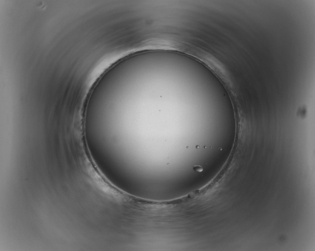 X0000111231192200907091328