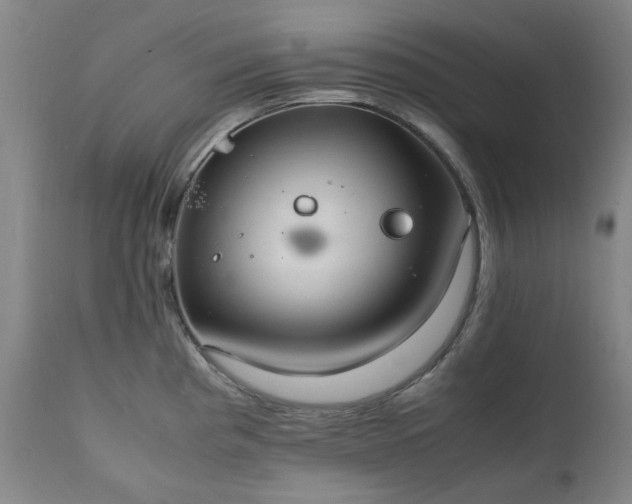 X0000111231193200907091328