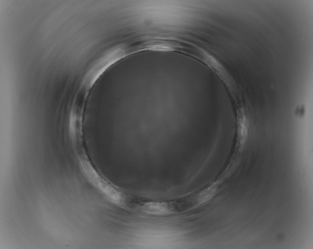 X0000111231194200907091328