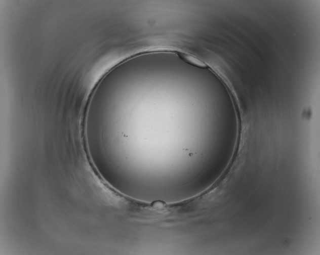X0000111231197200907091328