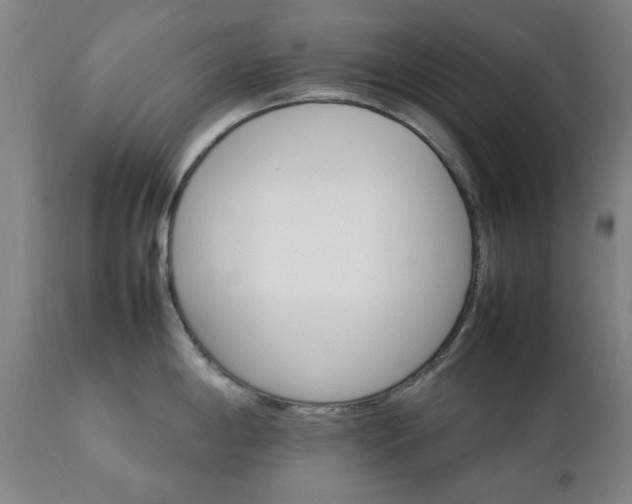 X0000111231198200907091328