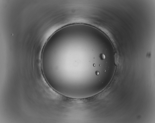 X0000111231199200907091328