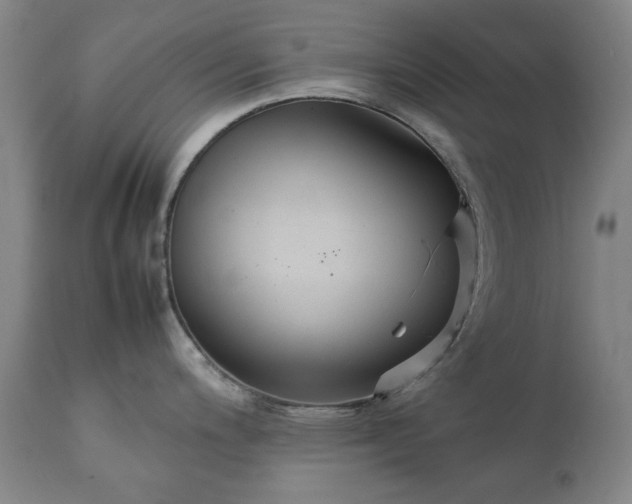 X0000111231200200907091328