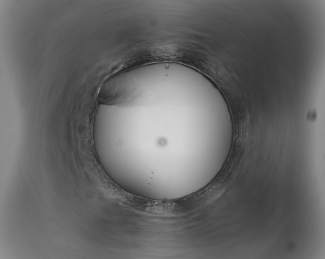 X0000111231201200907091328
