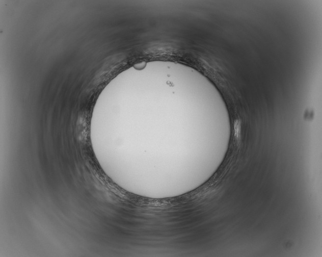X0000111231203200907091328