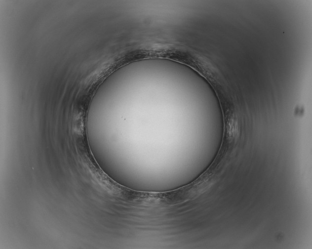 X0000111231204200907091328