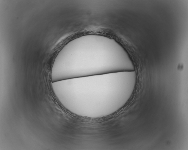 X0000111231206200907091328