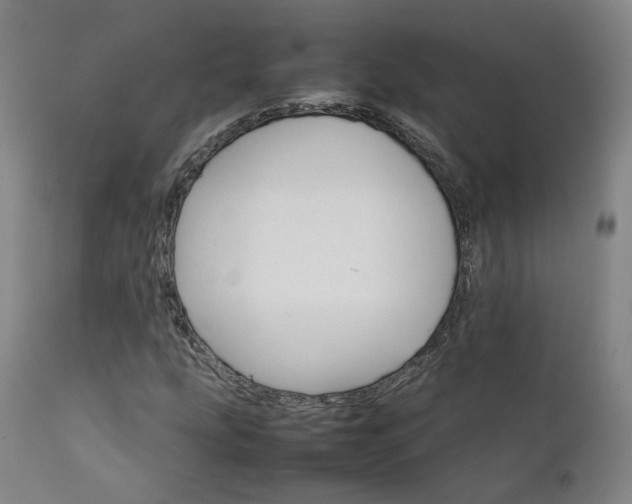X0000111231207200907091328